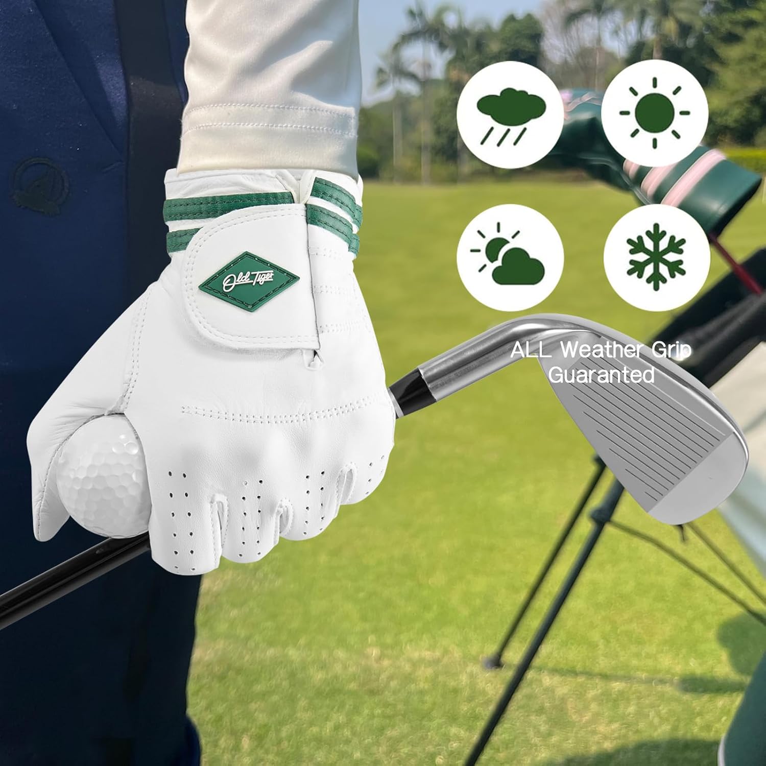 AAA Cabretta Leather Golf Glove with Green Stripe Wrist Band and Woven Logo Patch